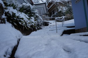 雪2
