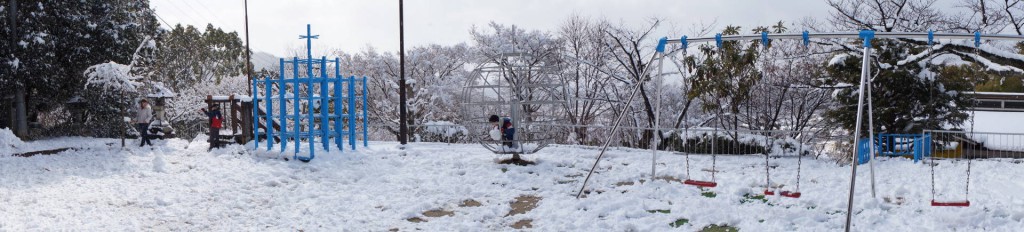 よく降ったように思いましたが、５センチくらい積もったというところでしょうか。雪だるまをころがしていると、ところどころ地面も顔をのぞかせました。