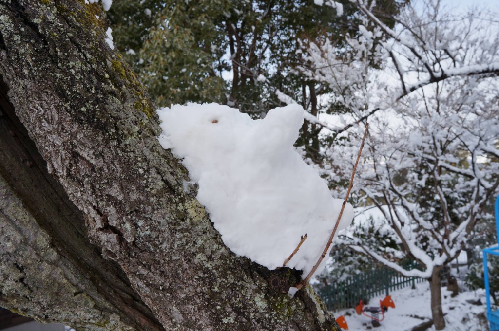 こんなところに雪うさぎも遊びに来ました