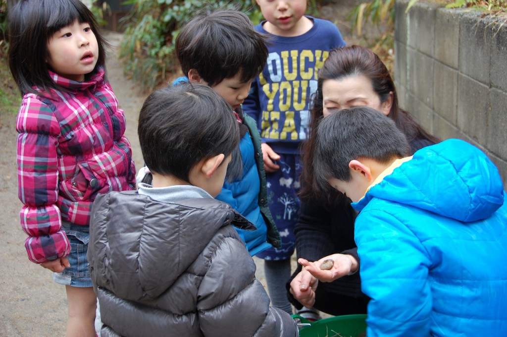 カブトムシの幼虫