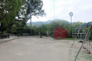 DSCF0878