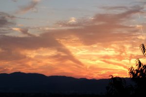 dscf9964