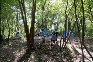 いつもの広場とその周辺で遊びます。