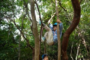 上手に木登りする子もいます。