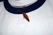 s-DSC_0288.jpg