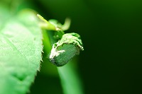 s-DSC_0390.jpg