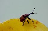 s-DSC_6328.jpg