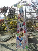 s-KICX4103.jpg