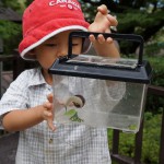 「ほら、カタツムリがいた」