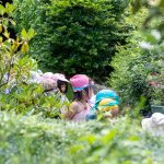 2024-07-08 水あそび（年長）