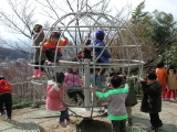 img0009.jpg