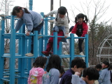 img0006.jpg