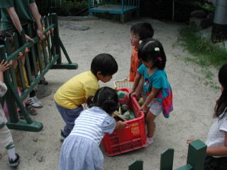 img0010.jpg
