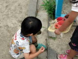 img0003.jpg