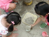 img0007.jpg