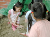 img0005.jpg
