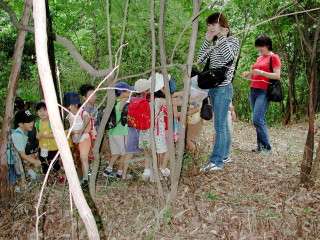 img0002.jpg