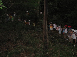 img0006.jpg