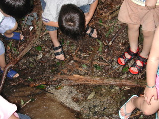img0015.jpg