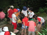 img0009.jpg