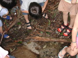 img0015.jpg