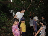 img0016.jpg