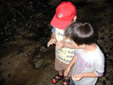 img0017.jpg