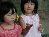 img0005.jpg