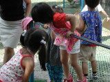 img0009.jpg