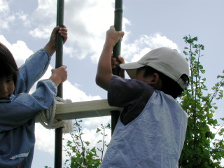 img0005.jpg