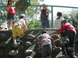 img0010.jpg