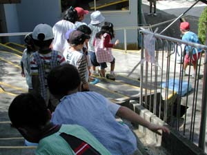 img0011.jpg