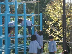 img0006.jpg
