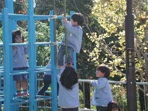 img0008.jpg