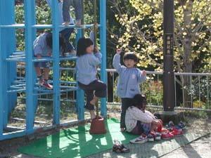 img0010.jpg