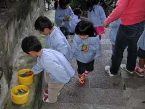 img0013.jpg