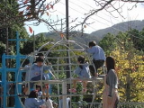 img0003.jpg