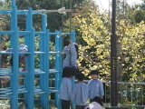 img0005.jpg