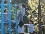 img0008.jpg