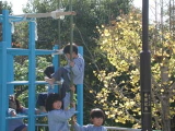 img0009.jpg