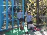 img0010.jpg