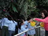 img0011.jpg