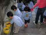 img0013.jpg