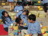 img0003.jpg