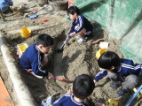 img0011.jpg