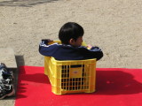 img0013.jpg