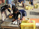 img0022.jpg