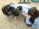 img0031.jpg