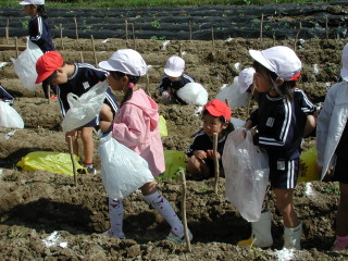 img0002.jpg