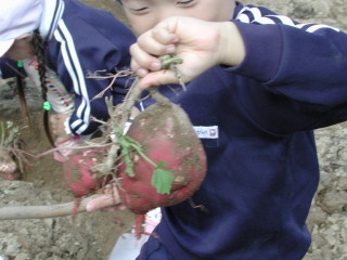 img0008.jpg